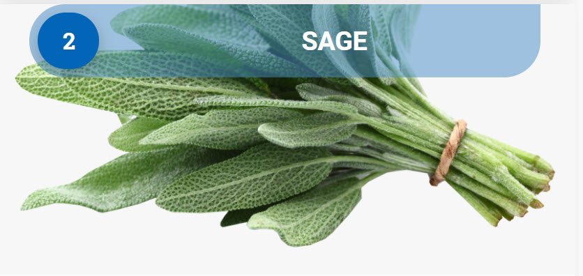 Sage